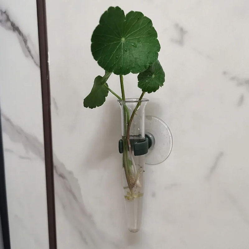 11cm Blumen-Wasserröhrchen Kun – Nutrition & Fitness Station Bewertung und Preis