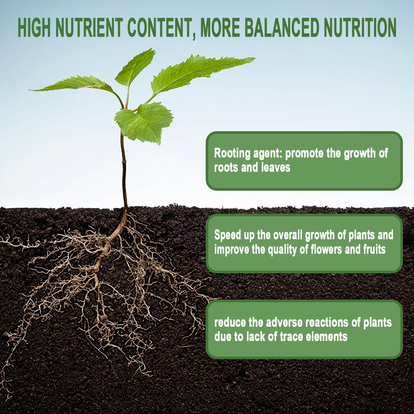 1Seltenes Pflanzenwurzelpulver – Roots Nutrition & Fitness Inglewood Photos Bewertung und Preis