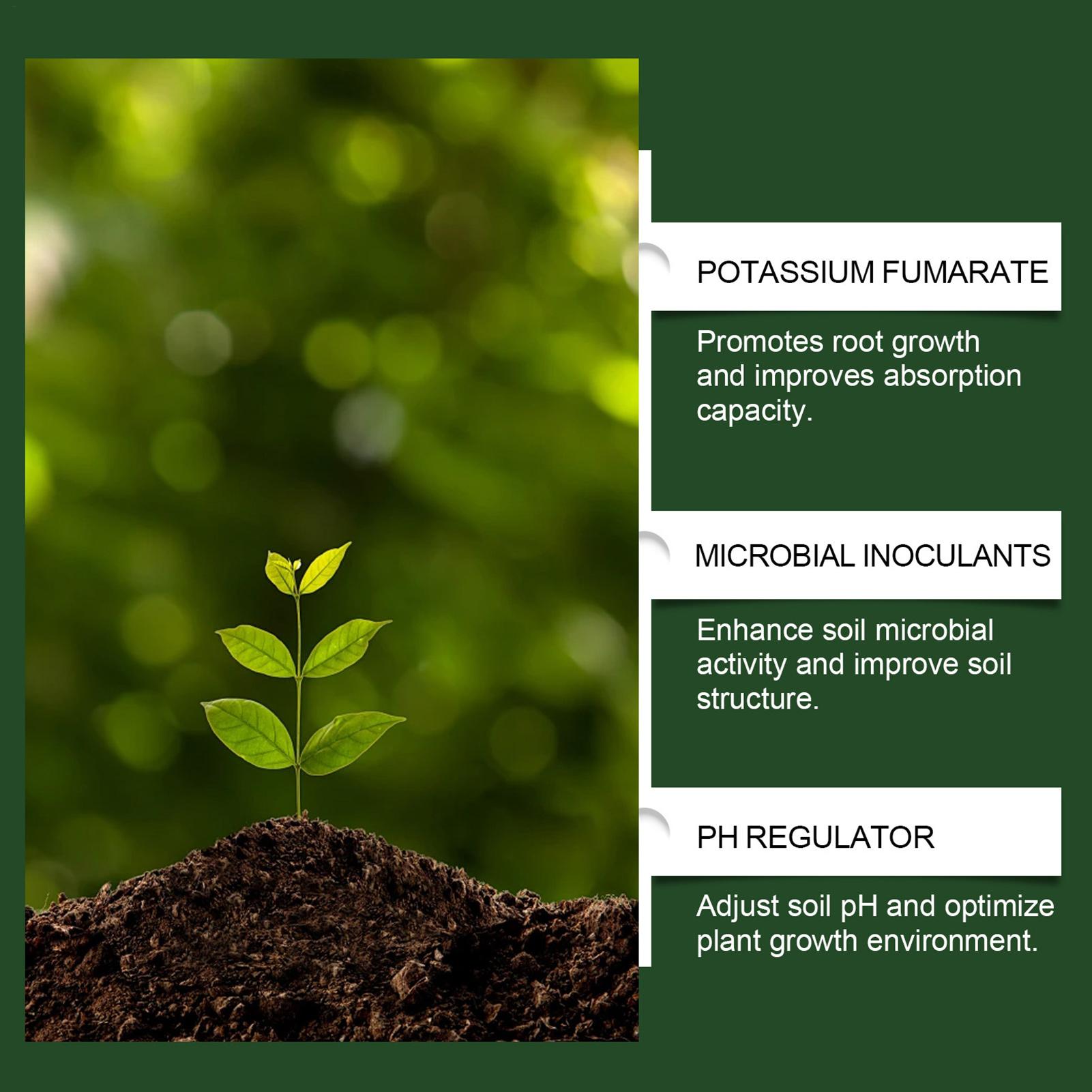 100 g Bio-Pulver zur Wurzelstä – Roots Nutrition & Fitness Inglewood Photos Bewertung und Preis