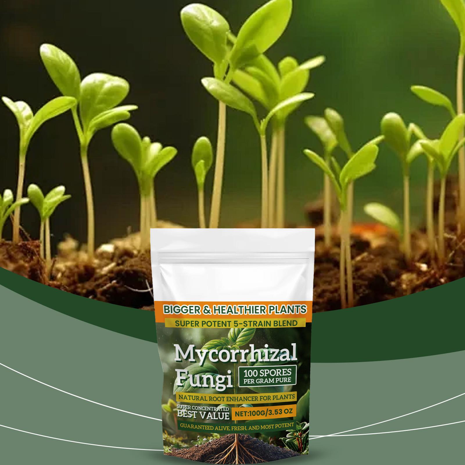 100 g Wurzelverstärker-Pulver, – Roots Nutrition & Fitness Inglewood Photos Bewertung und Preis