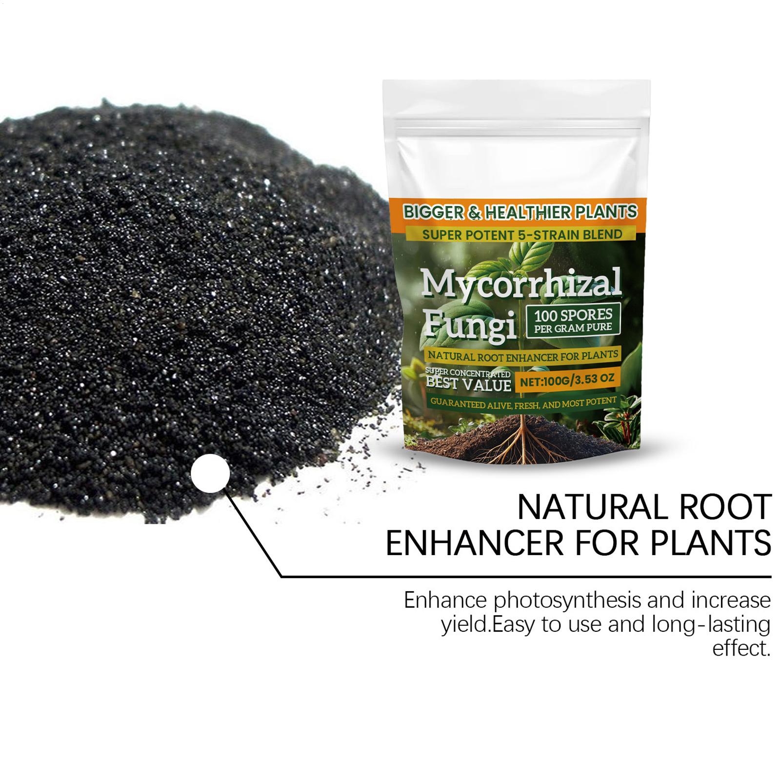 100 g Wurzelverstärker-Pulver, – Roots Nutrition & Fitness Inglewood Photos Bewertung und Preis