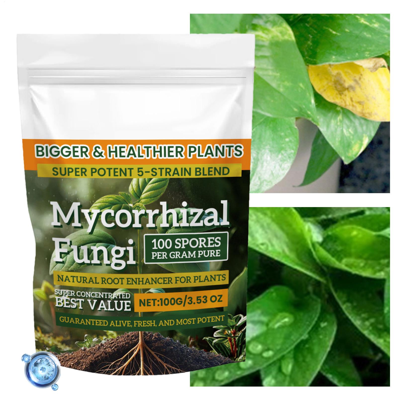 100 g Wurzelverstärker-Pulver, – Roots Nutrition & Fitness Inglewood Photos Bewertung und Preis