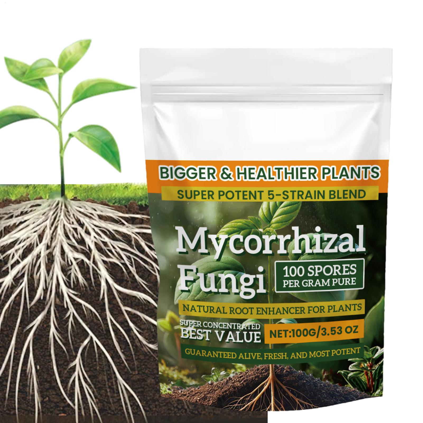 100 g Wurzelverstärker-Pulver, – Roots Nutrition & Fitness Inglewood Photos Bewertung und Preis